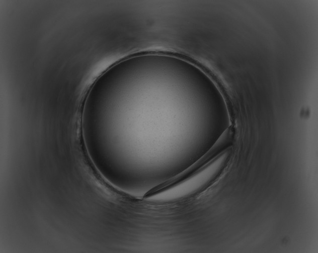 X0000091471367200708301844