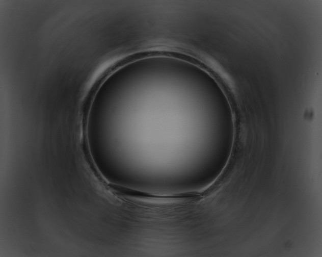 X0000091471368200708301844