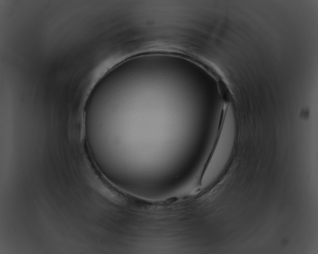 X0000091471371200708301844