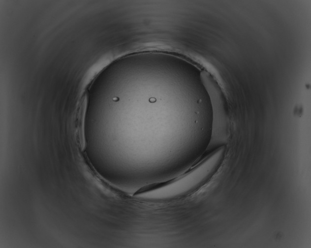 X0000091471373200708301844