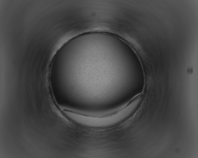 X0000091471374200708301844