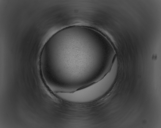 X0000091471375200708301844