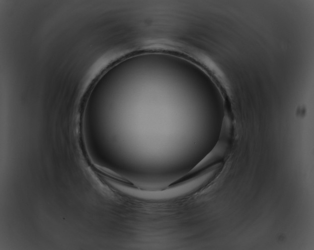 X0000091471376200708301844