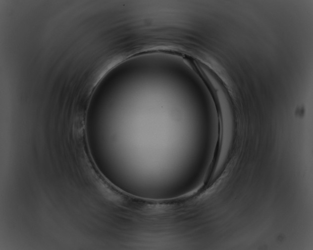 X0000091471377200708301844