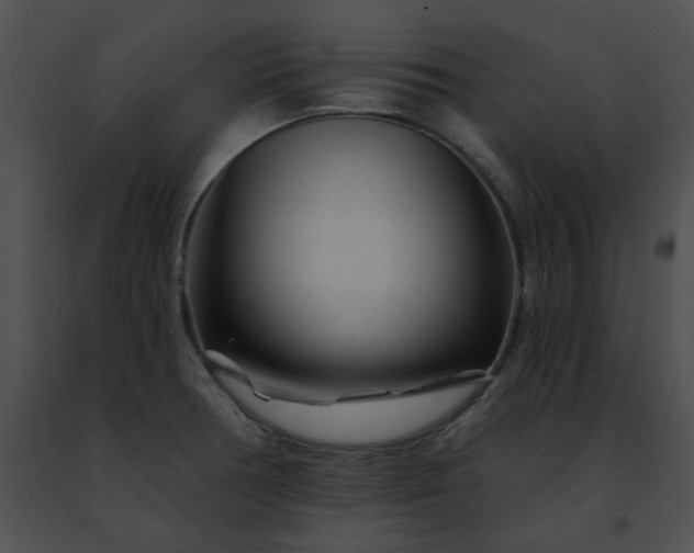 X0000091471378200708301844