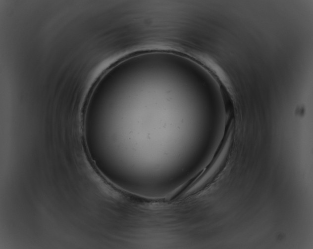 X0000091471380200708301844