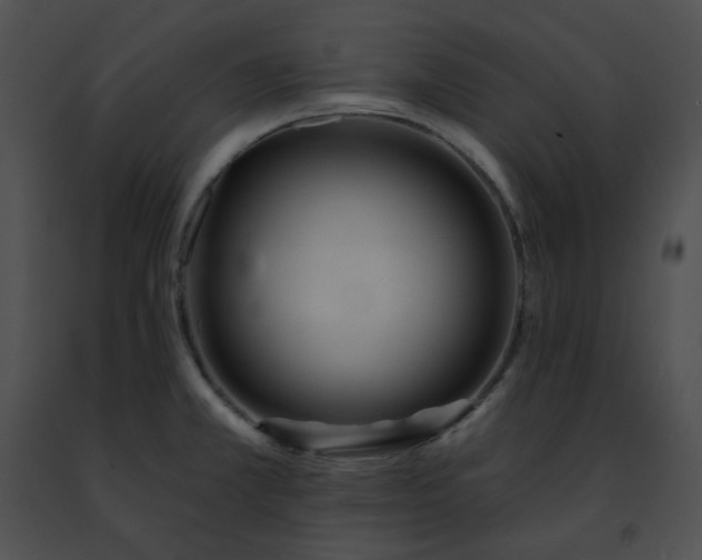 X0000091471381200708301844