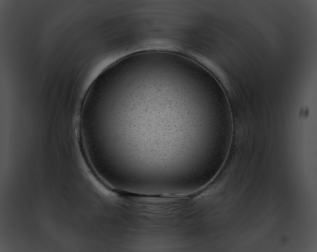 X0000091471383200708301844