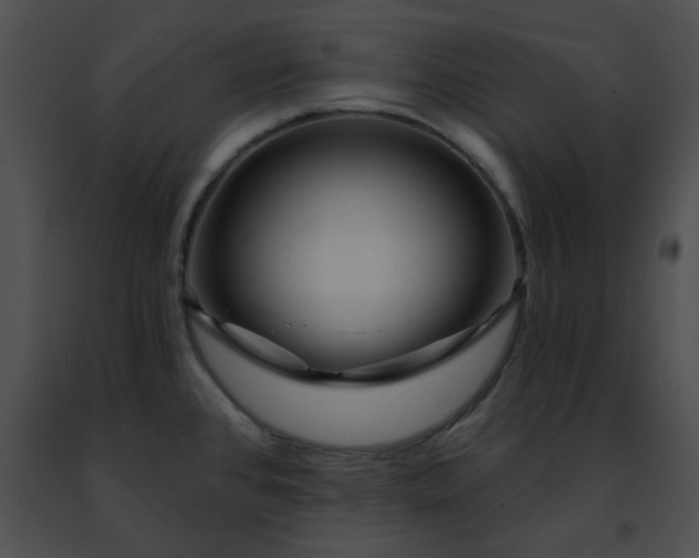 X0000091471384200708301844