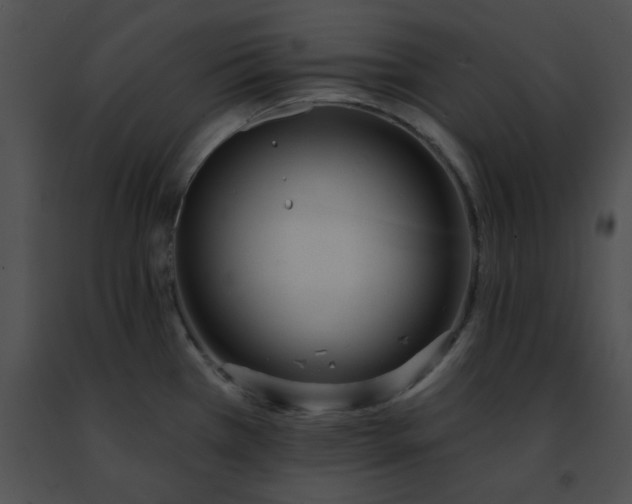 X0000091471385200708301844