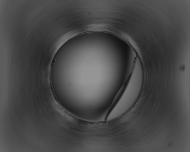 X0000091471386200708301844