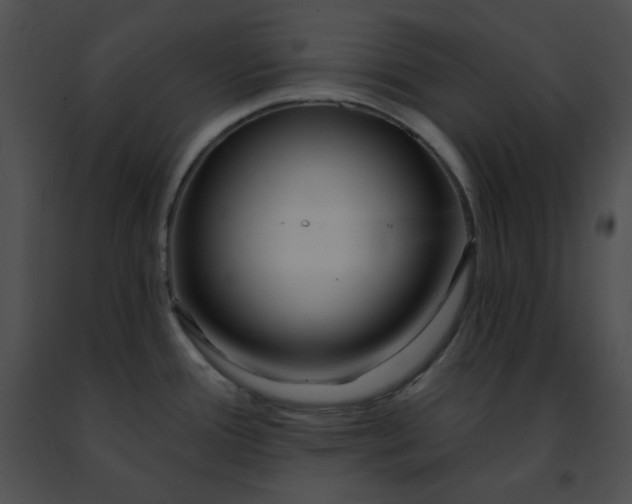 X0000091471388200708301844