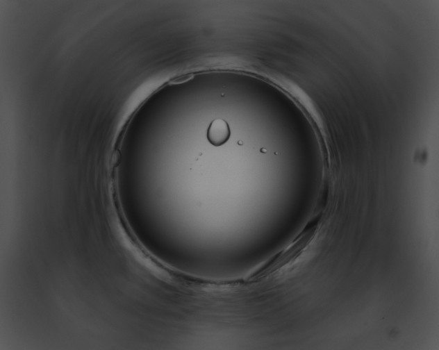 X0000091471389200708301844