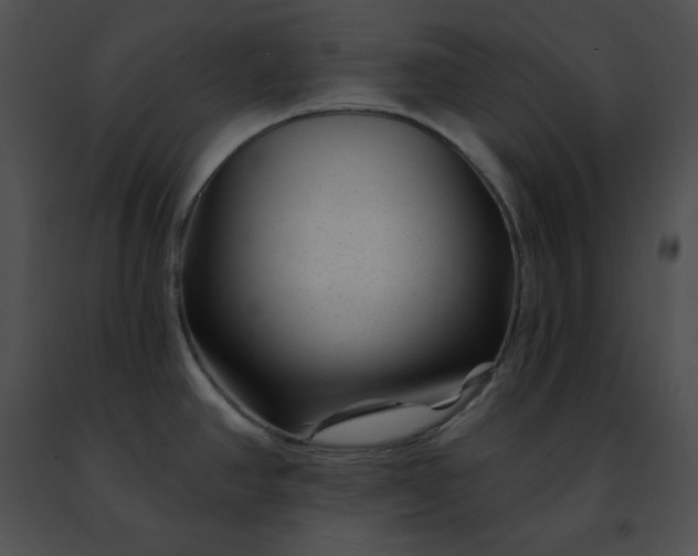 X0000091471390200708301844