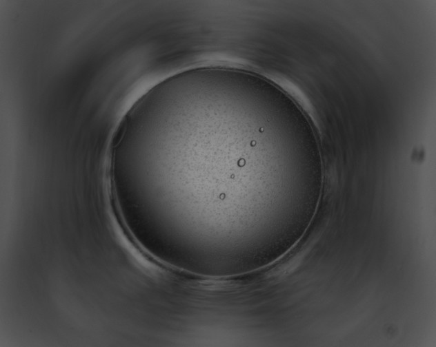 X0000091471391200708301844