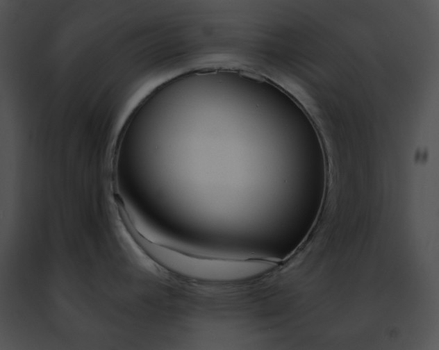 X0000091471392200708301844