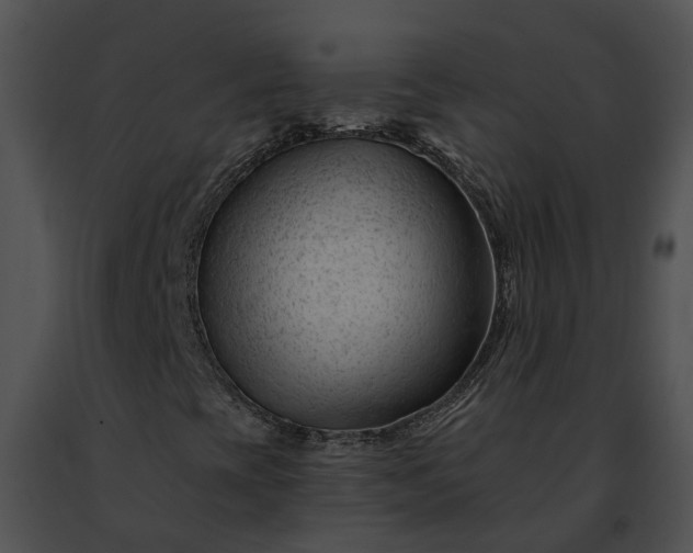 X0000091471393200708301843