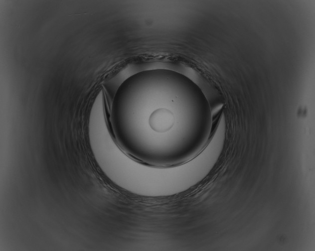 X0000091471394200708301843