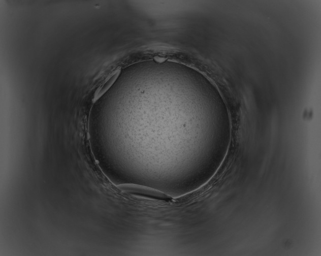 X0000091471397200708301843