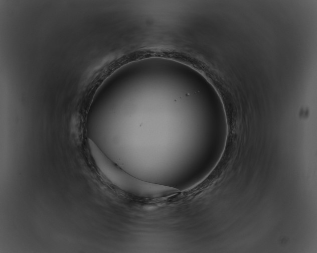 X0000091471398200708301843