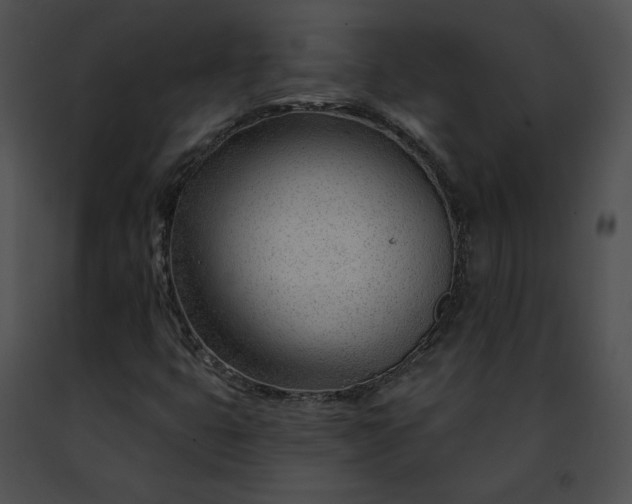 X0000091471399200708301843