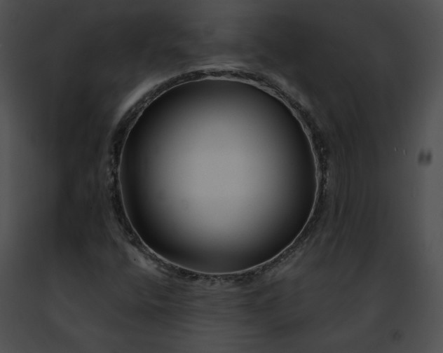 X0000091471400200708301843