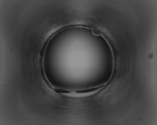 X0000091471404200708301843