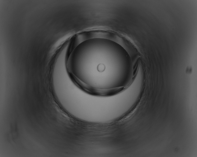 X0000091471406200708301843