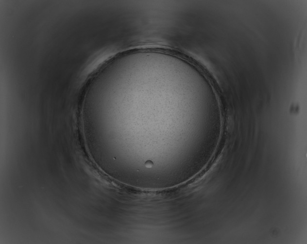 X0000091471407200708301843