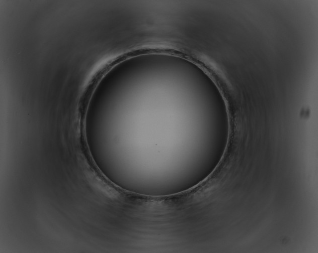 X0000091471408200708301843