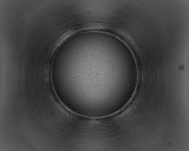 X0000091471409200708301843