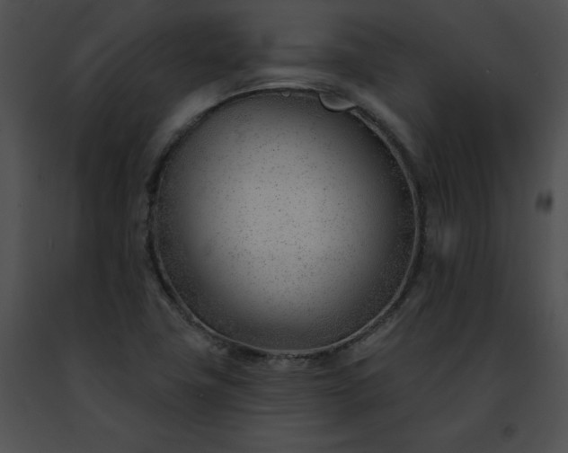 X0000091471411200708301843