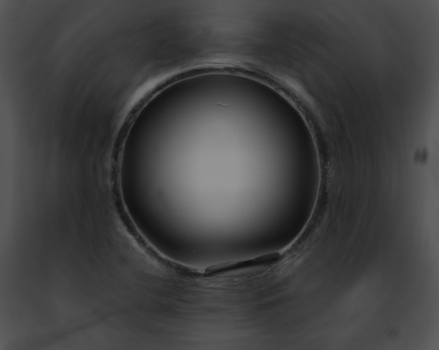 X0000091471412200708301843