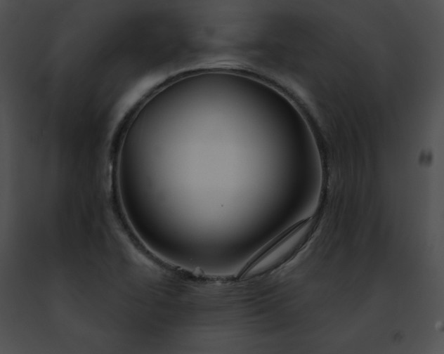 X0000091471414200708301843