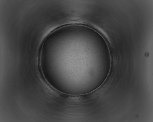 X0000091471415200708301843