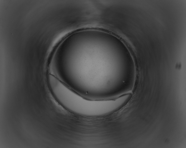 X0000091471416200708301843