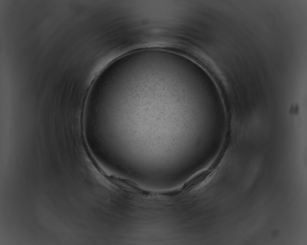 X0000091471417200708301843