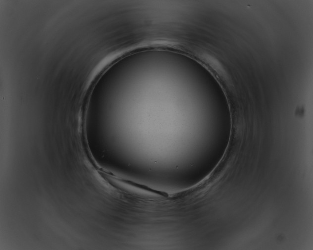 X0000091471420200708301843