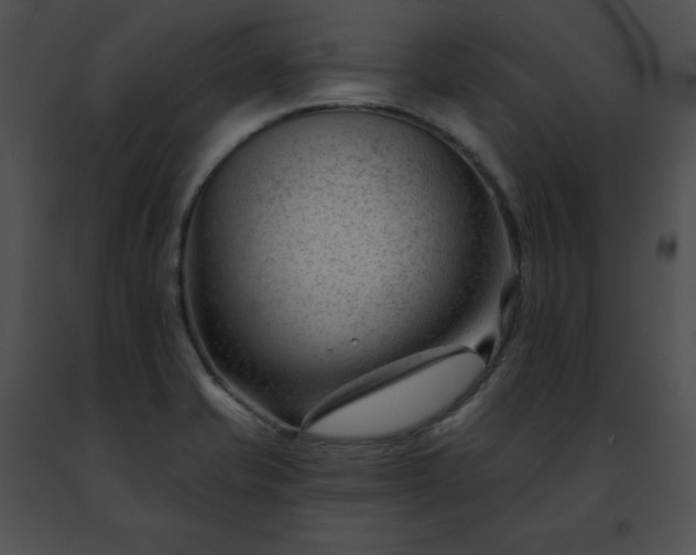 X0000091471421200708301843