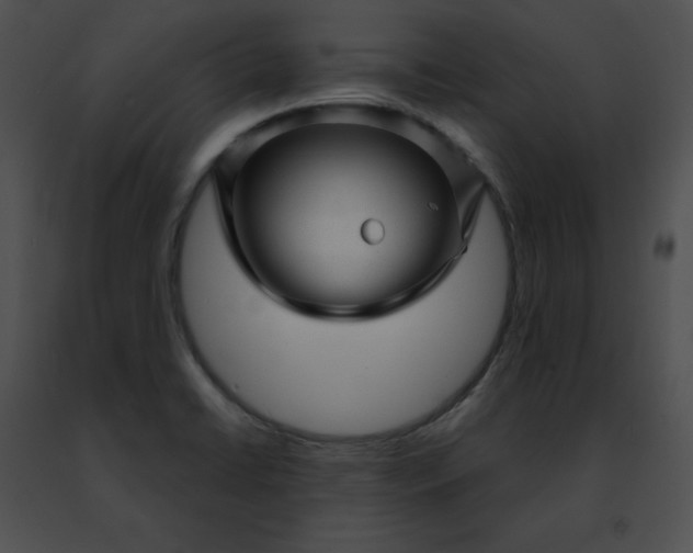 X0000091471422200708301843