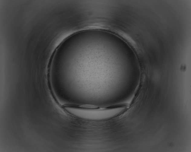 X0000091471423200708301843