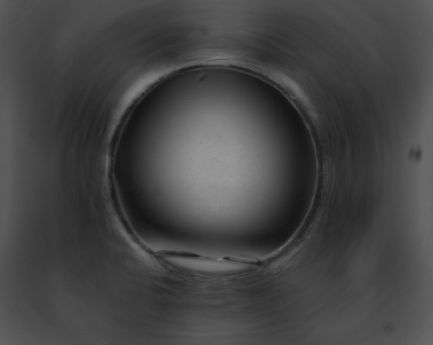 X0000091471424200708301843