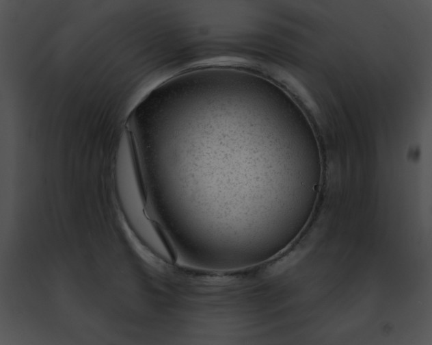 X0000091471425200708301843