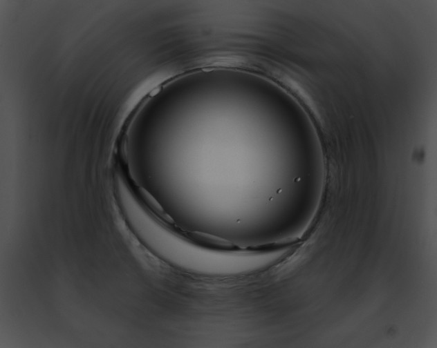 X0000091471426200708301843