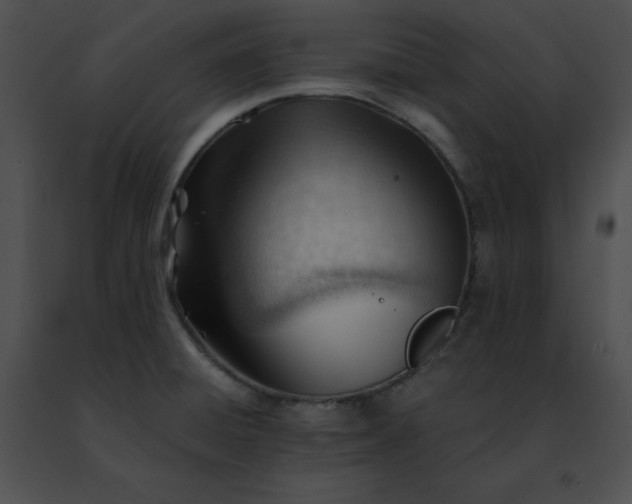 X0000091471428200708301844