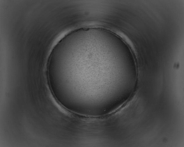 X0000091471429200708301844