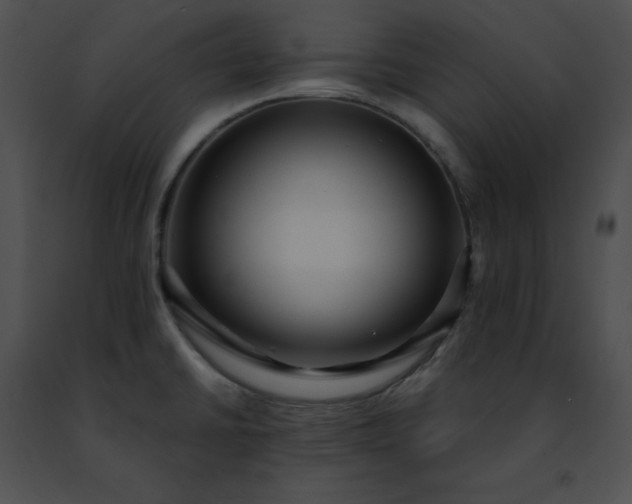 X0000091471430200708301844