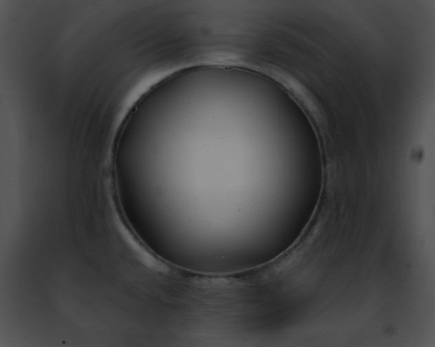 X0000091471432200708301844