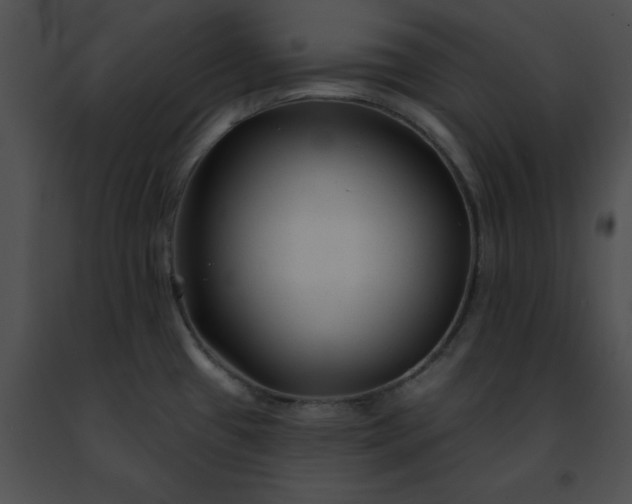 X0000091471433200708301844