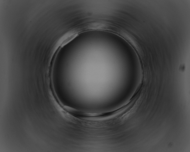 X0000091471434200708301844